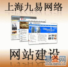 上海九易網(wǎng)絡(luò)科技 網(wǎng)絡(luò)技術(shù)開(kāi)發(fā)的精品之選